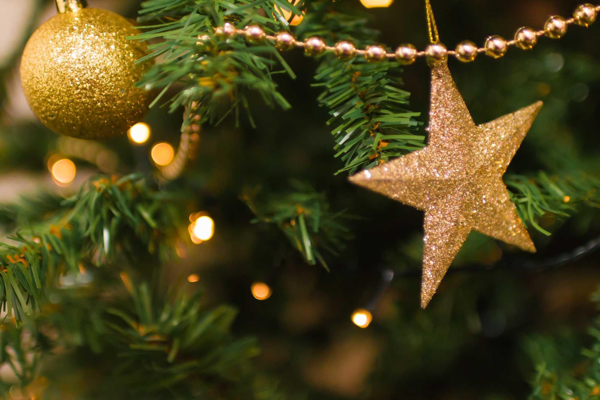Gold star and gold Christmas  bauble on tree