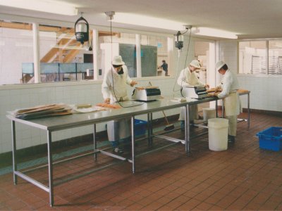 Factory Process 1990's