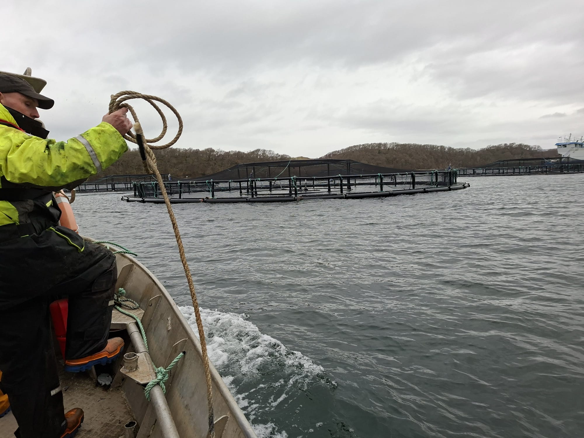 fish pens at Kames Fish Farmsby giles@athollroad.co.uk