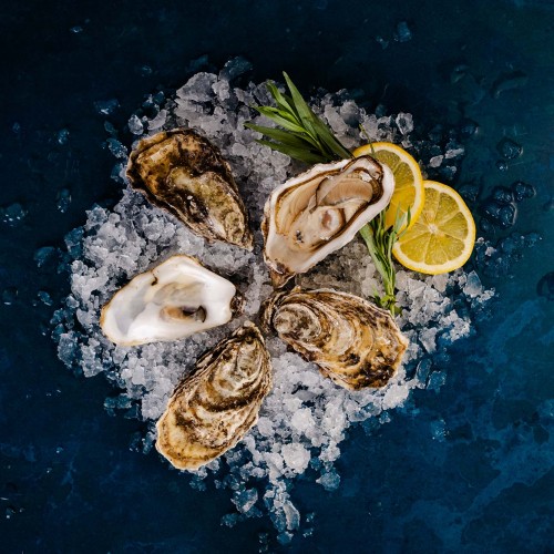 Oysters